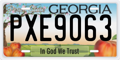 GA license plate PXE9063