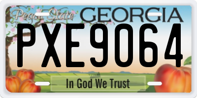 GA license plate PXE9064