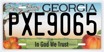 GA license plate PXE9065