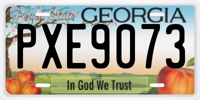 GA license plate PXE9073