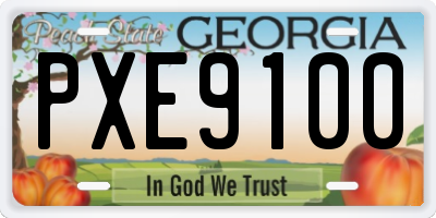 GA license plate PXE9100