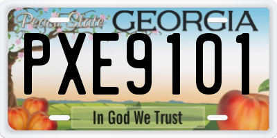 GA license plate PXE9101