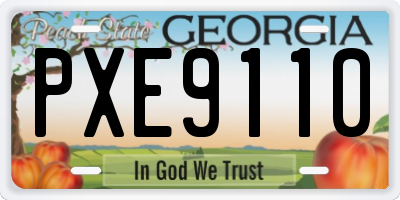 GA license plate PXE9110