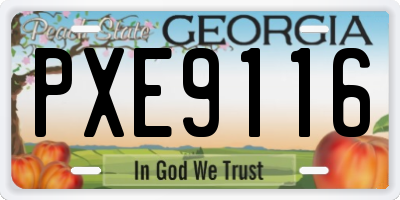 GA license plate PXE9116