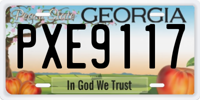 GA license plate PXE9117