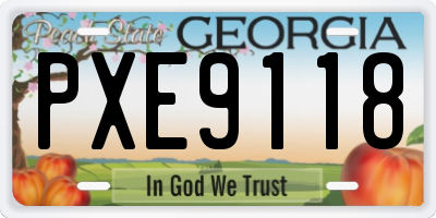 GA license plate PXE9118