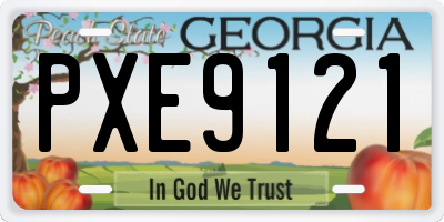 GA license plate PXE9121