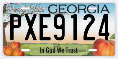 GA license plate PXE9124