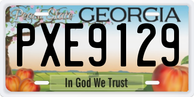 GA license plate PXE9129