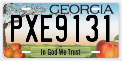 GA license plate PXE9131