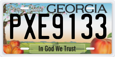 GA license plate PXE9133