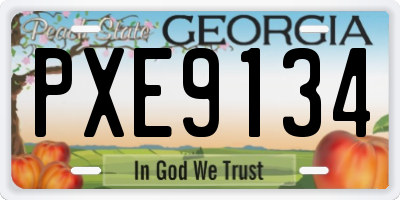 GA license plate PXE9134