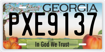 GA license plate PXE9137