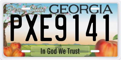 GA license plate PXE9141