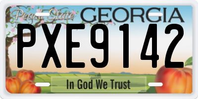 GA license plate PXE9142