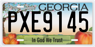 GA license plate PXE9145
