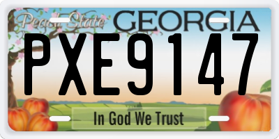 GA license plate PXE9147