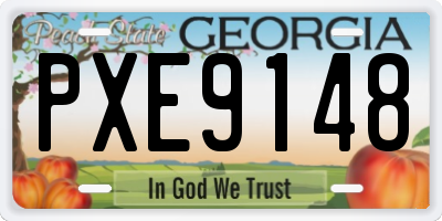 GA license plate PXE9148