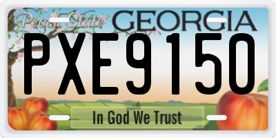 GA license plate PXE9150