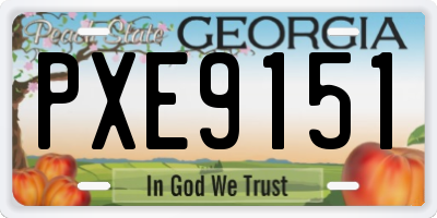 GA license plate PXE9151