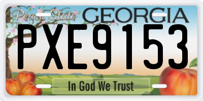 GA license plate PXE9153