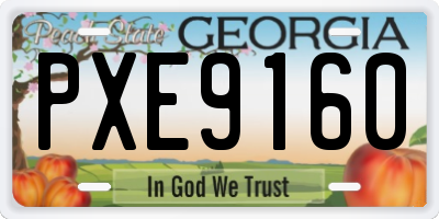 GA license plate PXE9160