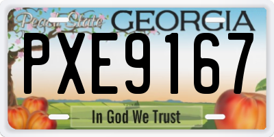 GA license plate PXE9167