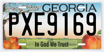 GA license plate PXE9169