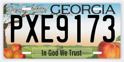 GA license plate PXE9173
