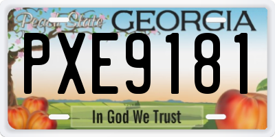GA license plate PXE9181