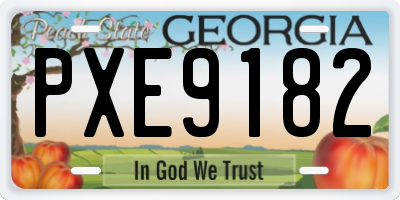 GA license plate PXE9182