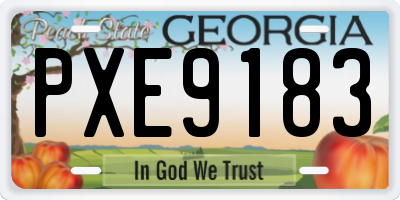 GA license plate PXE9183