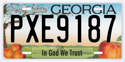 GA license plate PXE9187