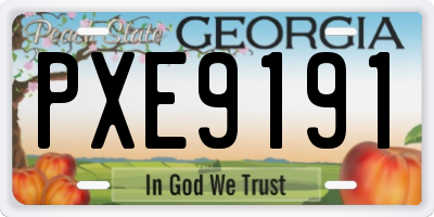 GA license plate PXE9191