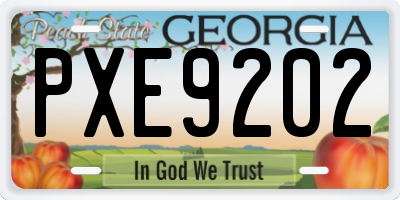 GA license plate PXE9202