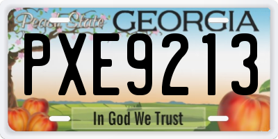 GA license plate PXE9213