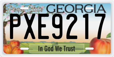 GA license plate PXE9217