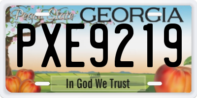 GA license plate PXE9219