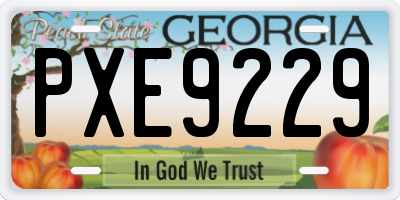 GA license plate PXE9229