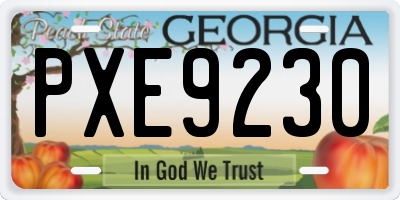 GA license plate PXE9230