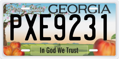 GA license plate PXE9231
