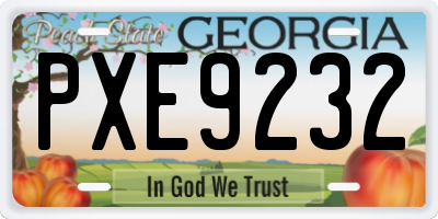 GA license plate PXE9232