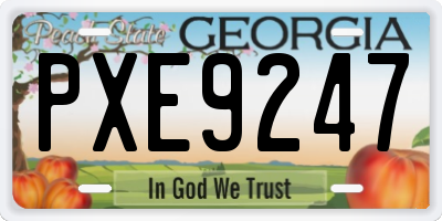 GA license plate PXE9247