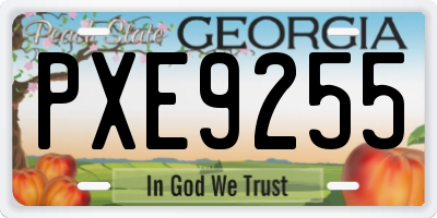 GA license plate PXE9255