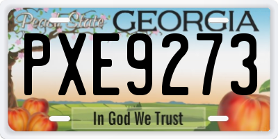 GA license plate PXE9273