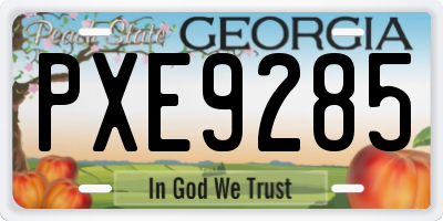GA license plate PXE9285