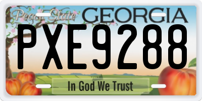 GA license plate PXE9288