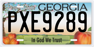 GA license plate PXE9289
