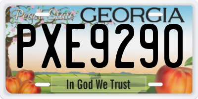 GA license plate PXE9290