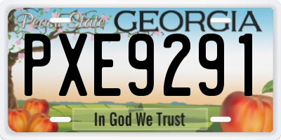 GA license plate PXE9291